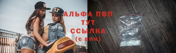 спиды Аркадак