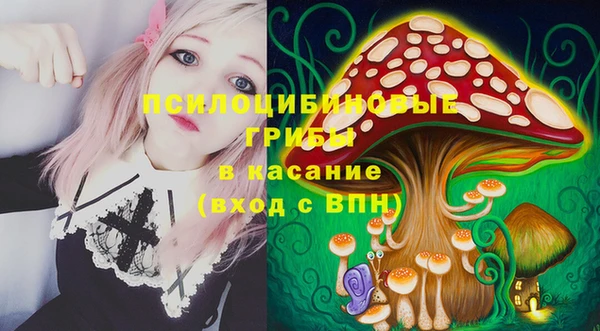 бошки Арсеньев