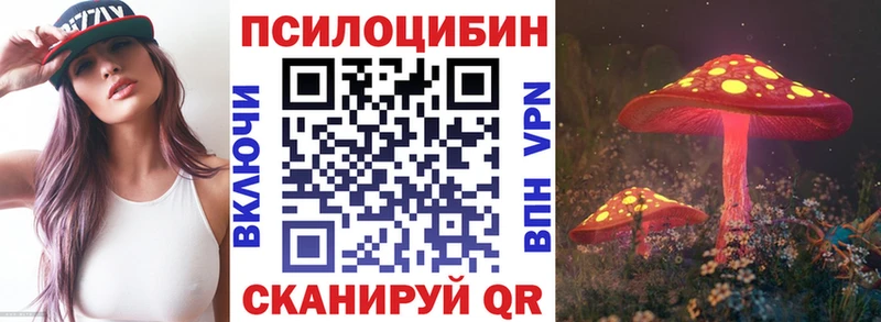 маркетплейс формула  Бабаево  Псилоцибиновые грибы GOLDEN TEACHER 